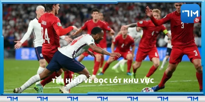 Tìm hiểu về bọc lót khu vực
