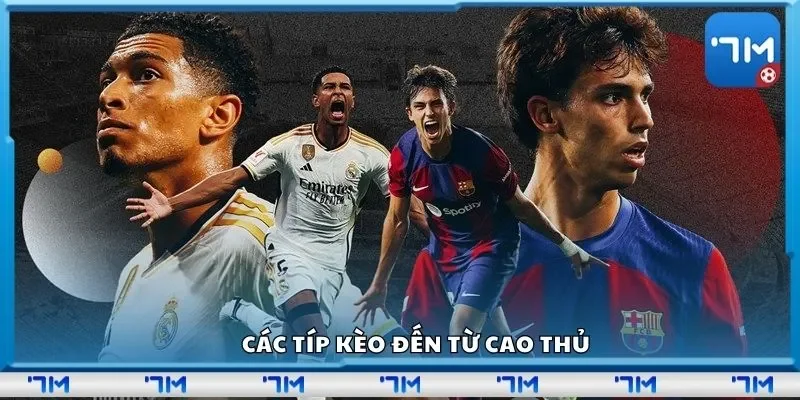 Các típ kèo đến từ cao thủ