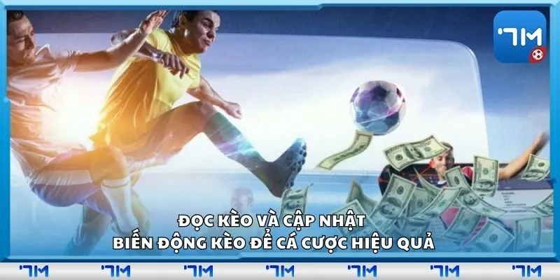 Đọc kèo và cập nhật biến động kèo để cá cược hiệu quả