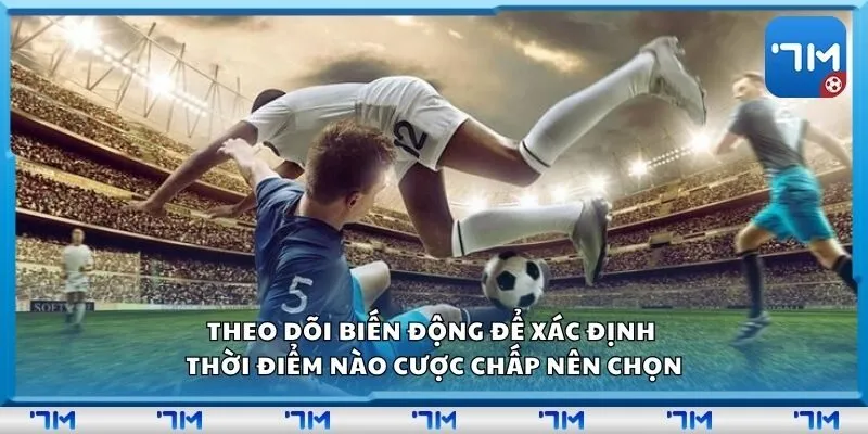 Theo dõi biến động để xác định thời điểm nào cược chấp nên chọn