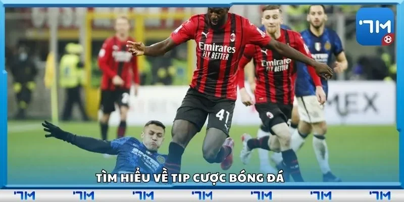 Tìm hiểu về tip cược bóng đá